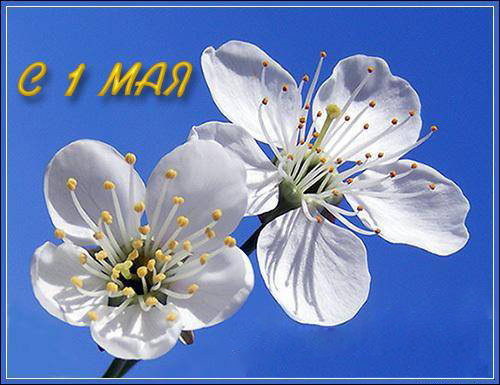 С 1-м мая